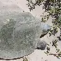 孙颖莎目标并未改变球迷热议(孙颖莎精彩集锦) 孙颖莎目标并未改变球迷热议(孙颖莎精彩集锦)